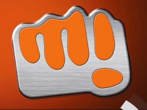 MicromaxLogo 300x225